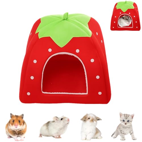 JazRvr 1 jouet cochon de mer, accessoire pour cochon de... - Jouets & Jeux Amazon France à 5.82€