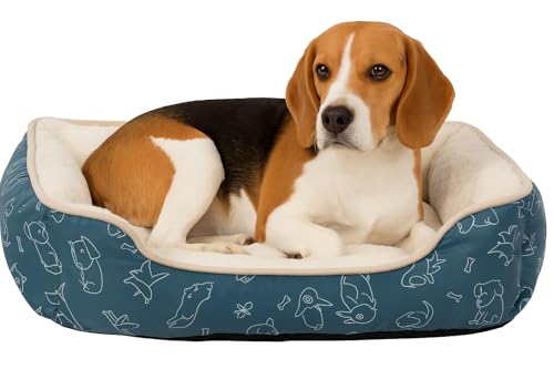 Hundebett – Lilly Blau – 60 cm – Sanftes Plüsch & leichtes... - Home & Kitchen Amazon Germany à 9.56€