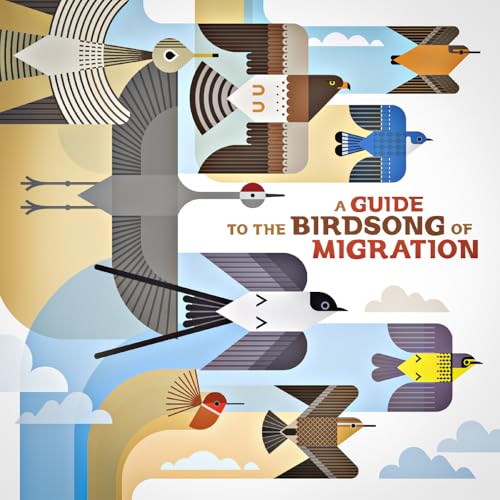 A Guide To The Birdsong Of Migration [VINYL] - Amazon Royaume-Uni à 10.32€
