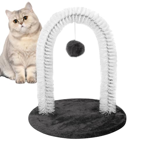 Katzenpflege-Spielzeug für den Innenbereich... - Jouets & Jeux en promo à 19.43€