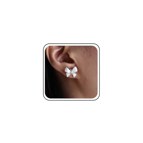 Boho Boucles D'oreilles Mariage Cz Minuscules Boucles... - Animalerie Amazon France à 2.99€