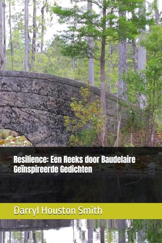 Resilience: Een Reeks door Baudelaire Geïnspireerde... - Amazon Espagne à 4.26€