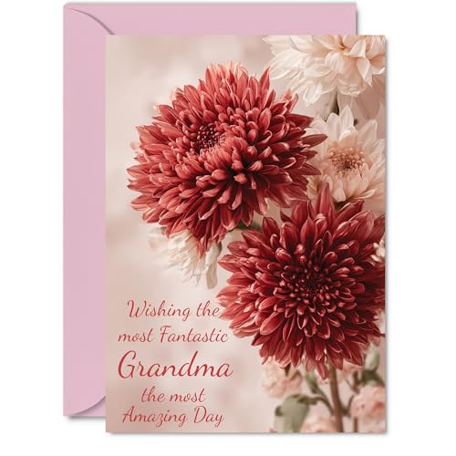 Grandma Birthday Card - Red Chrysanthemums - Happy Birthday... - Garden & Outdoor Amazon UK à 1.74€
