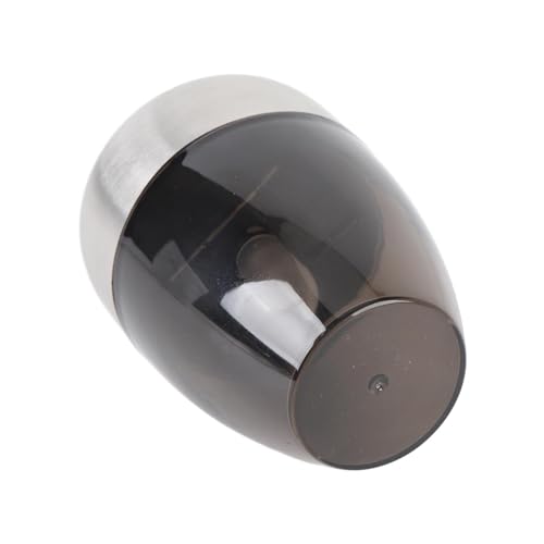 WINH Decorative Solar Lamp, Stainless and Plastic Steel... - Maison & Cuisine en promo à 1.48€