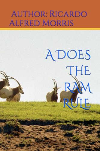 A DOES THE RAM RULE - High-Tech & Électronique Amazon Royaume-Uni à 37.09€