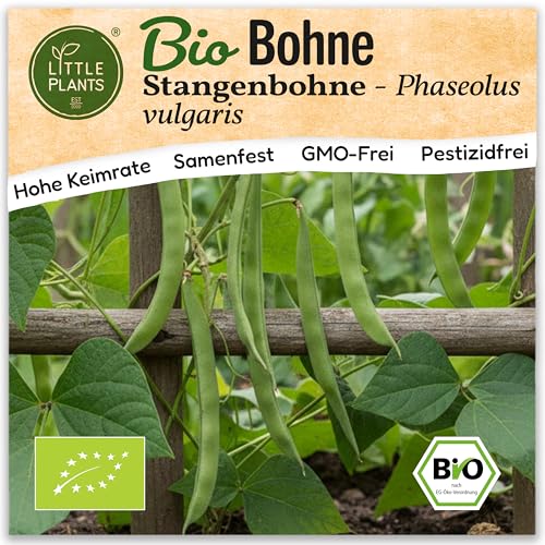 Little Plants BIO Bohne Samen 5 Bohnensamen Stangenbohne... - Maison & Cuisine Amazon Allemagne à 1.95€