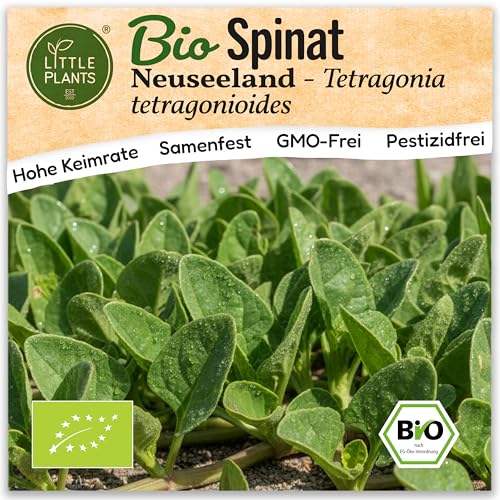 Little Plants BIO Spinat Samen 10 Spinatsamen Neuseeland... - Jardin & Extérieur Amazon Allemagne à 1.95€