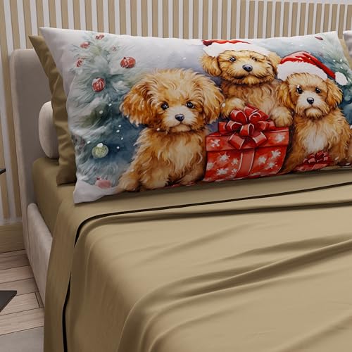 PETTI Italian Artisans - Cotton Sheets with Christmas... - Maison & Cuisine Amazon Royaume-Uni à 30.23€