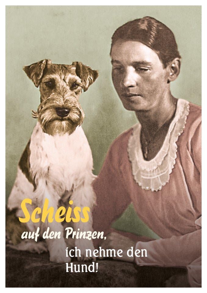 Gutsch Verlag Lustige Postkarte: Lieber Hund als Prinz... - Animalerie Amazon Allemagne à 1.50€