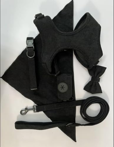 Generisch Hundegeschirr Set M aus Cord – 6-teilig Schwarz –... - Animalerie Amazon Allemagne à 9.99€