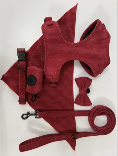 Generisch Hundegeschirr Set M aus Cord – 6-teilig Weinrot –... - Animalerie Amazon Allemagne à 9.99€