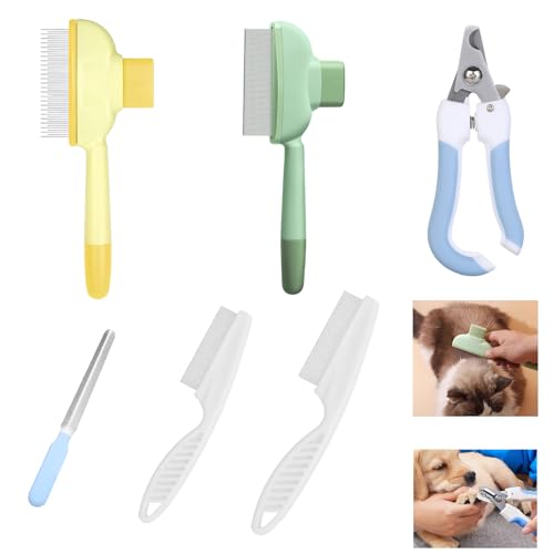 6-Teiliges Fellblitz Bürste Katze Haustierpflege-Set für... - Animalerie Amazon Allemagne à 8.36€