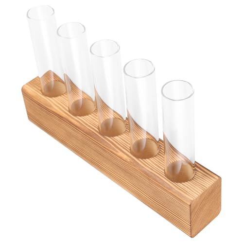 SHINEOFI Vase Hydroponique en Verre Transparent avec... - Jardin & Extérieur en promo à 13.99€