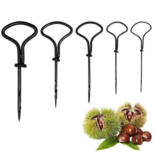 5 Stück Kastanienbohrer Set 1,5 2 3 4 5 mm Kastanienset für... - Bricolage & Outils Amazon Allemagne à 7.69€