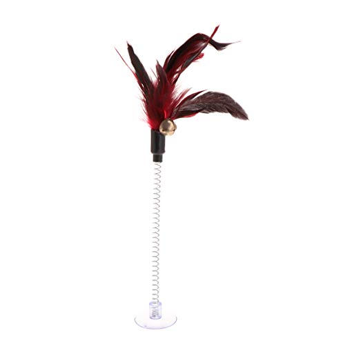 kwoifioy Für Katze Feder Spielzeug Saugnapf Feder Haustier... - Jouets & Jeux Amazon Allemagne à 1.19€