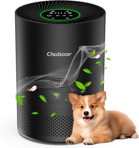 Purificateur d'air pour personnes allergiques, filtre à air... - Auto & Moto Amazon France à 89.99€