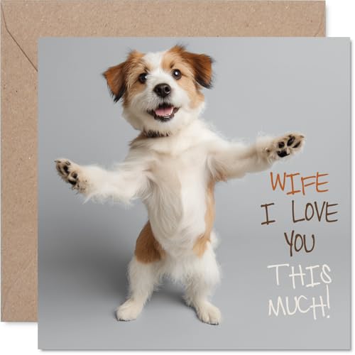 Wife Birthday Card - Pawfect! - Happy Birthday Card for... - High-Tech & Électronique Amazon Royaume-Uni à 2.67€
