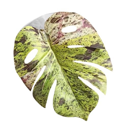 Leaf Jumping Toy, Spider Tank Accessory, Pet Plaything with... - Animalerie en promo à 1.69€