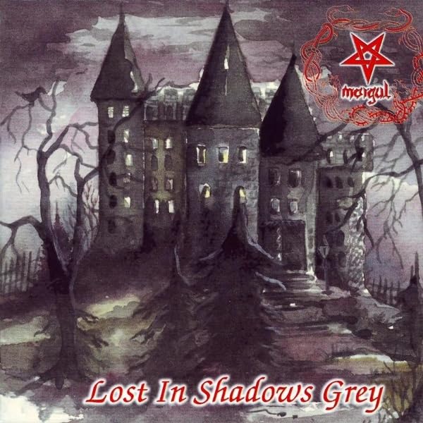 Lost in Shadows Grey (CD) en promo à 11,44€ (-53%) sur Amazon FR