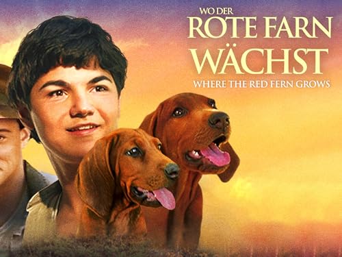 Wo der rote Farn wächst - Livres & eBooks Amazon Allemagne à 0.99€