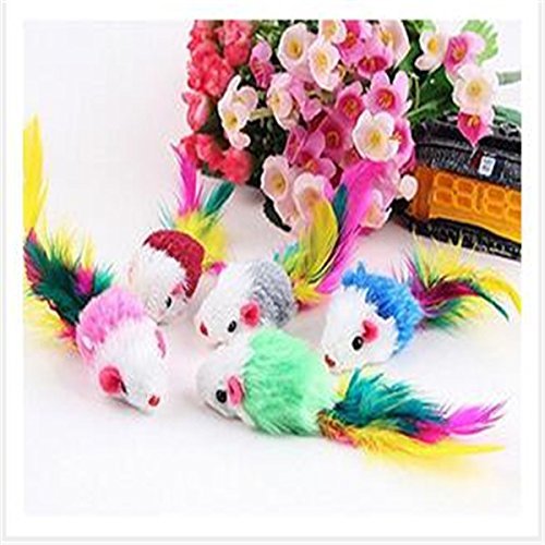 5pcs Carino Gatto Aziendale Gatto Gattino Cattura... - High-Tech & Électronique Amazon Italie à 0.99€