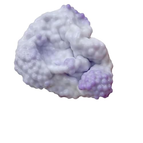 Grape Smoothie Stressball 2024 Vacuum Beads Shapeable... - Jouets & Jeux Amazon Royaume-Uni à 1.78€