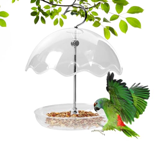 Nep Sproetpen,Plateau Transparent au Design Ouvert,Petite... - Jardin & Extérieur Amazon France à 1.98€