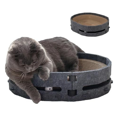 Planche à Gratter pour Chat - Jouet Griffoir En Carton Avec... - Sports & Fitness Amazon France à 15.99€