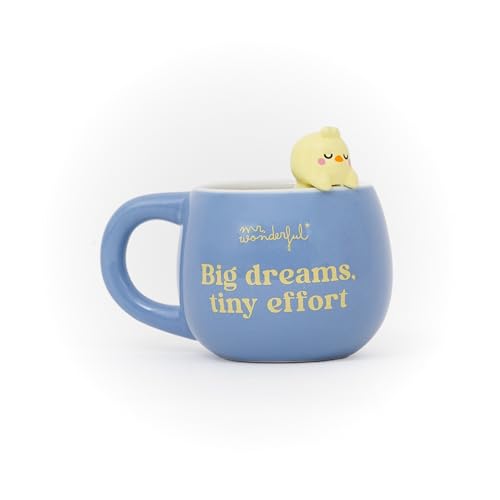 Mr. Wonderful - Taza 3D Lazy Pollito – Big Dreams, Tiny... - Home & Kitchen Amazon Spain à 7.41€
