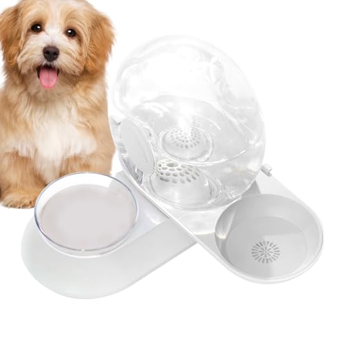 Distributore automatico di acqua potabile per gatti |... - Maison & Cuisine Amazon Italie à 33.19€