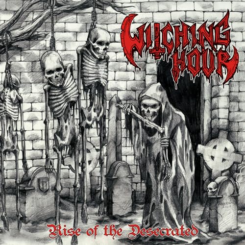 Rise of the Desecrated [Vinilo] - Amazon Espagne à 25.80€