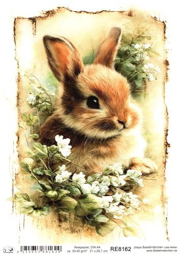 Josys Bastelmärchen Reispapier DIN A4 Strohseide Decoupage... - Loisirs Créatifs Amazon Allemagne à 1.99€