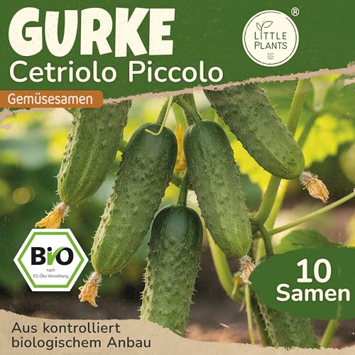 Little Plants BIO Gewürzgurke Samen 10 Gurken Samen... - Jardin & Extérieur Amazon Allemagne à 1.95€
