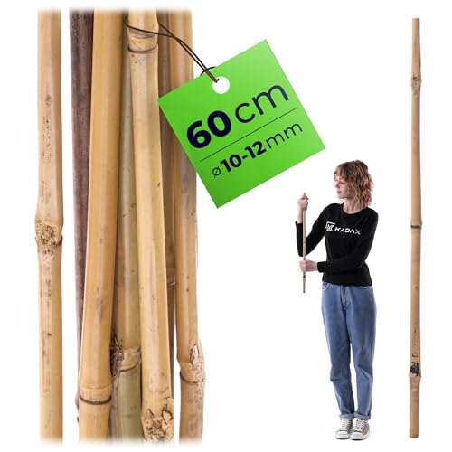 KADAX Asta di bambù 60 cm x 10/12 mm, 1 pezzo, asta per... - High-Tech & Électronique Amazon Italie à 0.89€