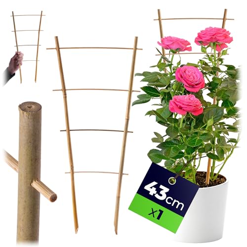 KADAX Rankgitter aus Bambus, 43 x 21 cm, 1 Stück, Rankhilfe... - Jardin & Extérieur Amazon Allemagne à 1.95€