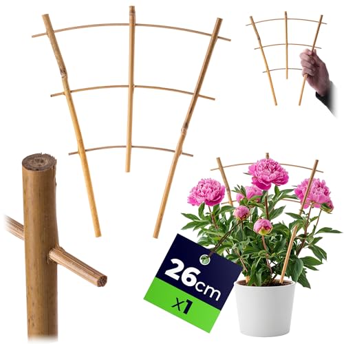 KADAX Rankgitter aus Bambus, 26 x 23 cm, 1 Stück, Rankhilfe... - Jardin & Extérieur Amazon Allemagne à 1.95€