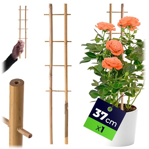 KADAX Rankgitter aus Bambus, 37 x 7 cm, 1 Stück, Rankhilfe... - Jardin & Extérieur Amazon Allemagne à 1.95€