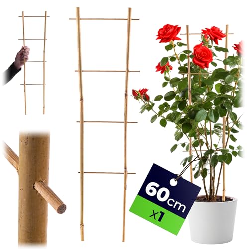 KADAX Rankgitter aus Bambus, 60 x 18 cm, 1 Stück, Rankhilfe... - Jardin & Extérieur Amazon Allemagne à 1.95€