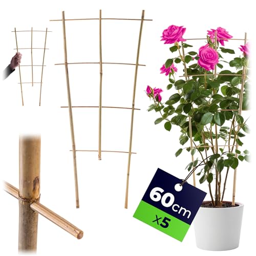 KADAX Rankgitter aus Bambus, 60 x 32 cm, 1 Stück, Rankhilfe... - Jardin & Extérieur Amazon Allemagne à 2.35€