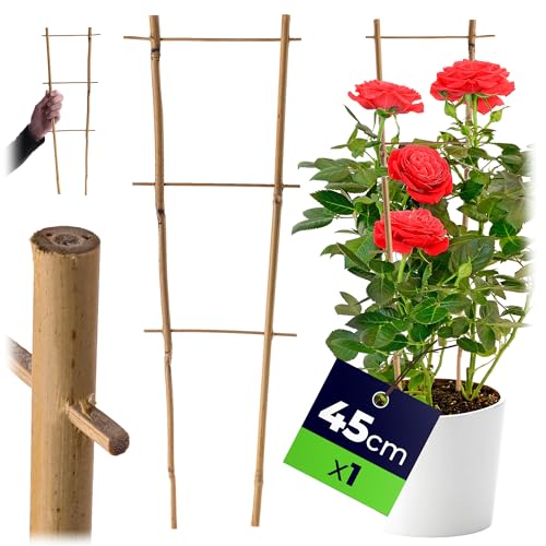 KADAX Rankgitter aus Bambus, 45 x 16 cm, 1 Stück, Rankhilfe... - Jardin & Extérieur Amazon Allemagne à 1.95€
