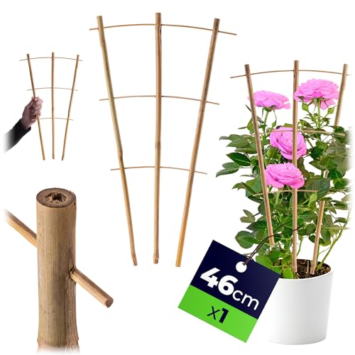 KADAX Rankgitter aus Bambus, 46 x 27 cm, 1 Stück, Rankhilfe... - Jardin & Extérieur Amazon Allemagne à 1.95€