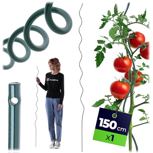 KADAX Tomatenspiralstab 150cm x 6mm, Spiralstab aus Stahl... - Jardin & Extérieur Amazon Allemagne à 1.55€