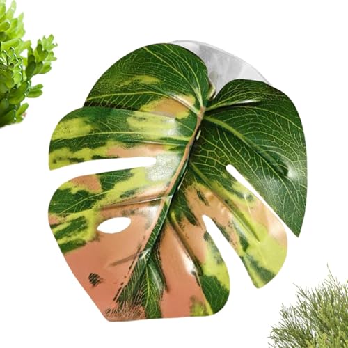 Genérico Juguete de Hoja para Araña Saltadora – Accesorio... - Animalerie en promo à 2.29€