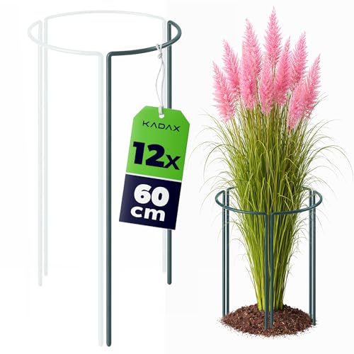 KADAX Staudenstütze 60 cm Höhe, 12 Stück, Pflanzenstütze... - Jardin & Extérieur Amazon Allemagne à 34.95€