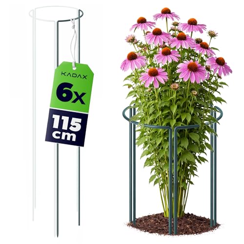 KADAX Staudenstütze 115 cm Höhe, 6 Stück, Pflanzenstütze... - Jardin & Extérieur Amazon Allemagne à 27.95€