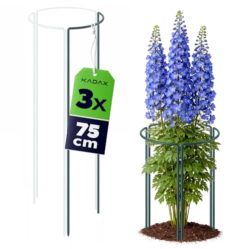 KADAX Staudenstütze 75 cm Höhe, 3 Stück, Pflanzenstütze aus... - Jardin & Extérieur en promo à 18.95€