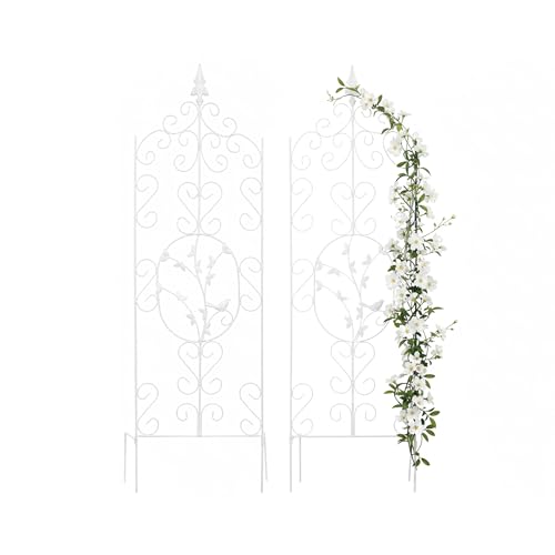 Relaxdays Treillis pour Plantes grimpantes, Lot de 2, métal... - Garden & Outdoor Amazon France à 31.99€