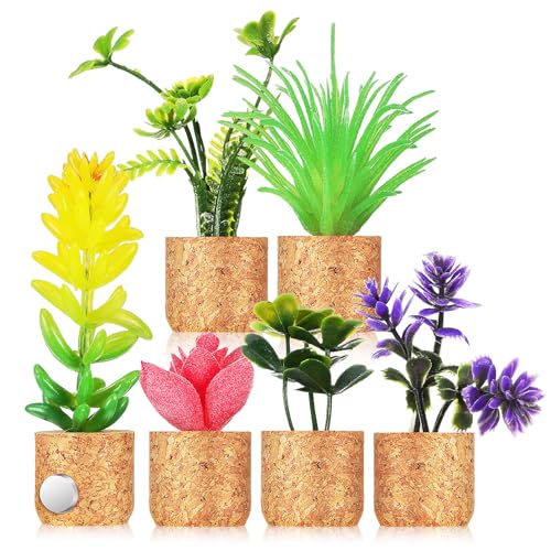 SUPVOX 6 calamite per frigorifero – Carina decorazione per... - Auto & Motorcycle Amazon Italy à 20.30€