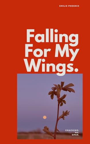 Falling For My Wings - Amazon Germany à 4.91€