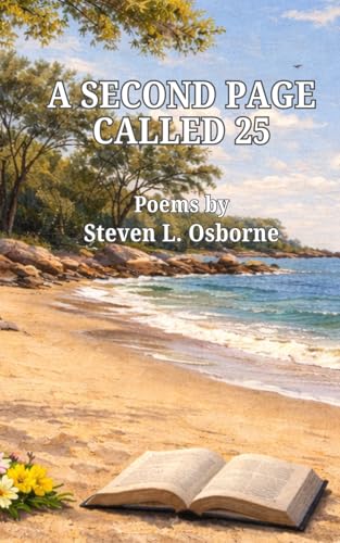A Second Page Called 25 - Amazon Allemagne à 4.39€
